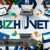 bizhunet