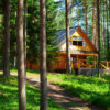 Appeal of Log Homes