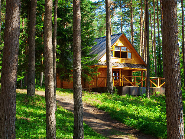 Appeal of Log Homes